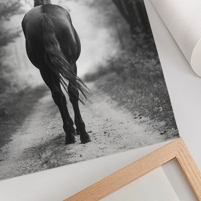 Zidni plakat Fotografija crno-bijelog konja u šumi