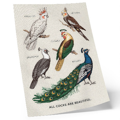 Dekorativni plakat Elegantne ptice, perje, raznolike boje