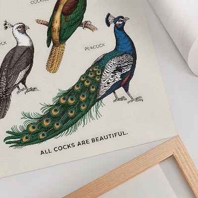 Dekorativni plakat Elegantne ptice, perje, raznolike boje