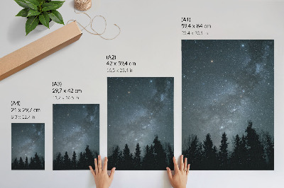 Plakat Noćno nebo puno zvijezda i silueta drveća
