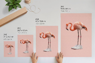 Plakat Flamingo ružičaste sportske cipele s ružičastom pozadinom