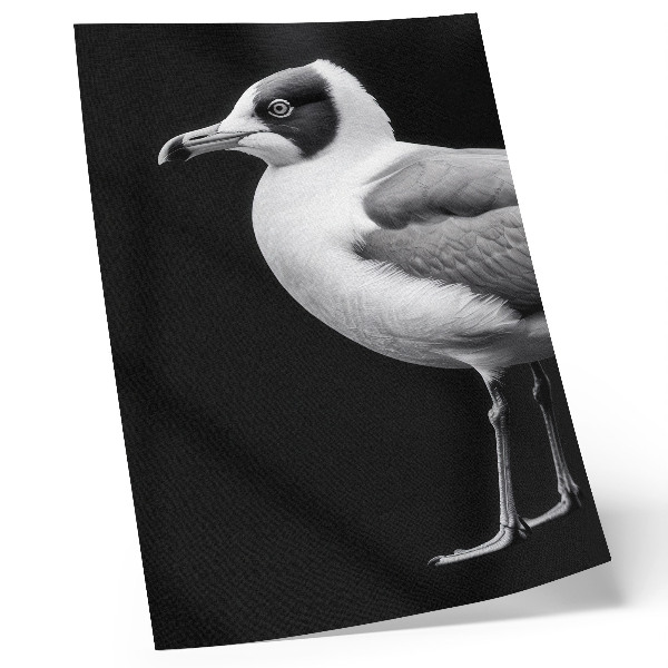 Zidni plakat Minimalistički stil kontrasta crno-bijele ptice