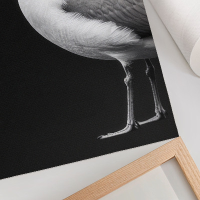 Zidni plakat Minimalistički stil kontrasta crno-bijele ptice