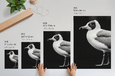 Zidni plakat Minimalistički stil kontrasta crno-bijele ptice