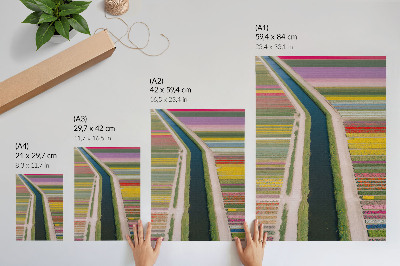 Dekorativni plakat Šarene pruge cvijeća uz kanal