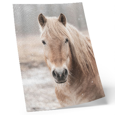 Zidni plakat Konj zima nježne boje mir priroda