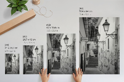 Tisak na platno Crno-bijela ulica s grafitima i uličnim svjetiljkama