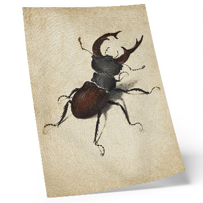 Plakat Jelenak Albrechta Dürera (1505.)