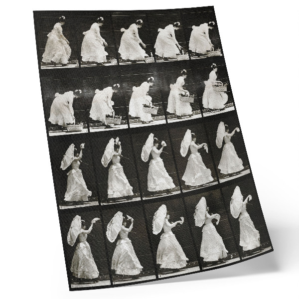 Plakat Žena podiže košaru, mašući maramicom (1887.) – fotografija Eadwearda Muybridgea