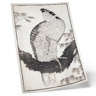 Zidni plakat Katsushika Hokusaijeva Ptica iz Albuma skica (1814.), vintage japanski drveni otisak