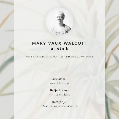 Plakat Divlji ananas (Tillandsia fasciculata) (1921.) autorice Mary Vaux Walcott