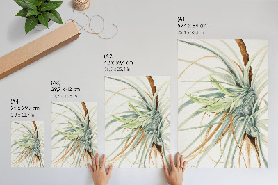 Plakat Divlji ananas (Tillandsia fasciculata) (1921.) autorice Mary Vaux Walcott