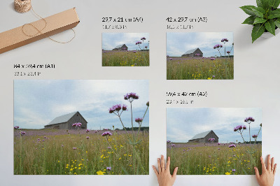 Stilski zidni plakat Livada ljubičastog i žutog cvijeća u seoskoj štali
