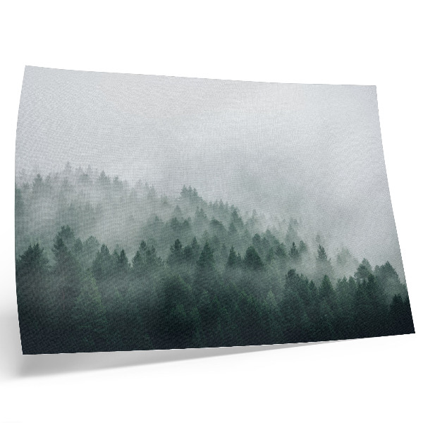 Plakat na platnu Maglovite šume koje odišu mirom i misterijom