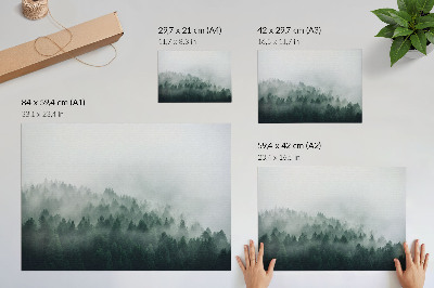 Plakat na platnu Maglovite šume koje odišu mirom i misterijom