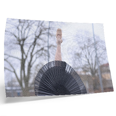 Plakat na platnu Balet, suptilnost, harmonija, lokalna atmosfera