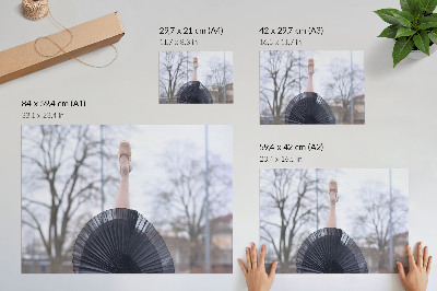 Plakat na platnu Balet, suptilnost, harmonija, lokalna atmosfera