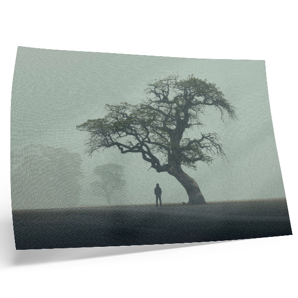 Plakat Usamljeno drvo u magli, tamna silueta, atmosfera