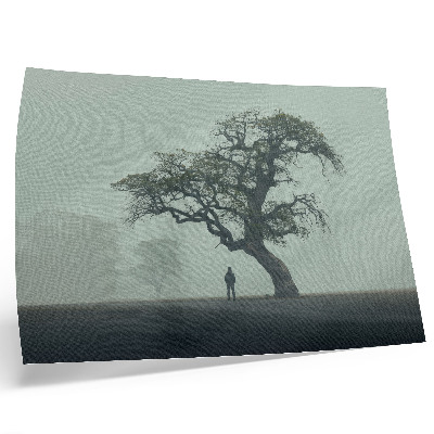 Plakat Usamljeno drvo u magli, tamna silueta, atmosfera