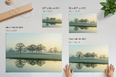 Stilski zidni plakat Mirna površina vode, odraz drveća, meka magla