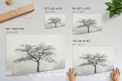 Umjetnički print Usamljeno drvo zimski mir minimalizam harmonija