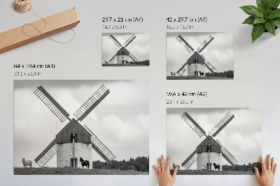 Stilski zidni plakat Crno-bijela vjetrenjača u polju s konjima