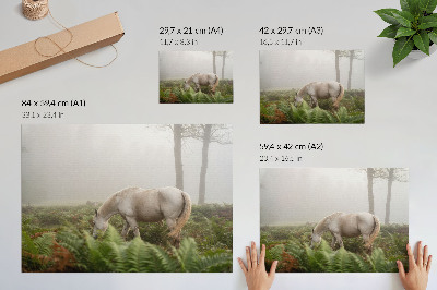 Umjetnički print Konj na pozadini paprati u maglovitoj šumi