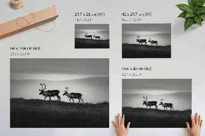 Umjetnički print Minimalistička kompozicija sobova na brdu