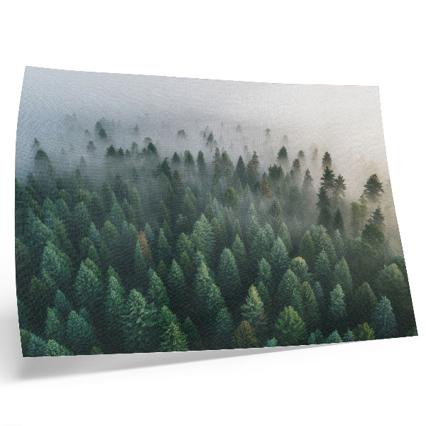 Plakat na platnu Zelena šuma u magli, atmosferska i tajanstvena