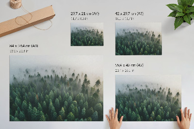 Plakat na platnu Zelena šuma u magli, atmosferska i tajanstvena