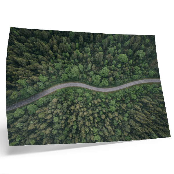 Plakat na platnu Zelena šumska serpentinska cesta mirna atmosfera