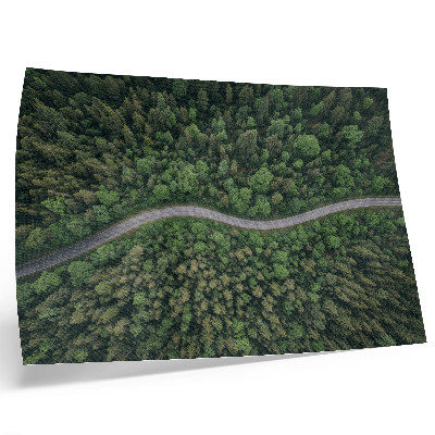 Plakat na platnu Zelena šumska serpentinska cesta mirna atmosfera