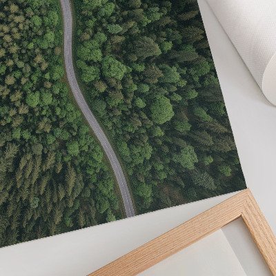 Plakat na platnu Zelena šumska serpentinska cesta mirna atmosfera