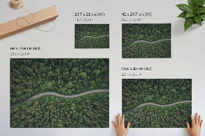 Plakat na platnu Zelena šumska serpentinska cesta mirna atmosfera