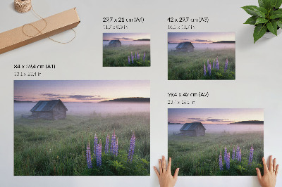 Plakat na platnu Drvena kućica slikovita magla cvijeće priroda