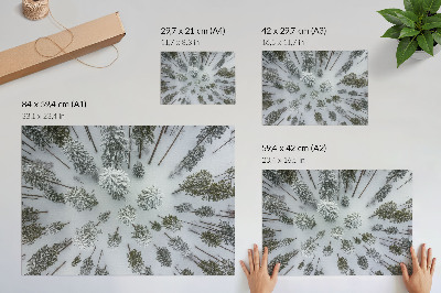 Stilski zidni plakat Zimska šuma mir minimalizam prirodnost