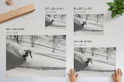 Plakat na platnu Snowboarder u akciji snijeg drveće kontrasti