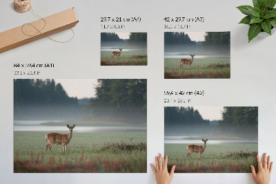 Umjetnički print Jelen na pozadini maglovitih livada i šuma