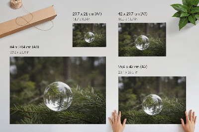 Plakat na platnu Kristalna kugla na pozadini borove grane