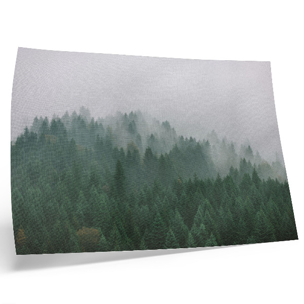 Plakat na platnu Maglovita panorama šume pune zelenog i sive boje