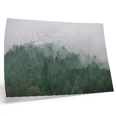 Plakat na platnu Maglovita panorama šume pune zelenog i sive boje