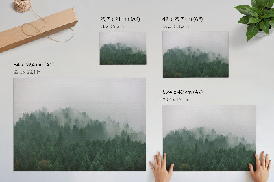 Plakat na platnu Maglovita panorama šume pune zelenog i sive boje