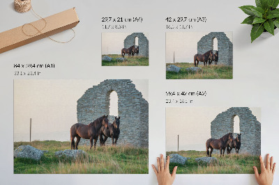 Stilski zidni plakat Kontrast ruševina i konja u zelenilu