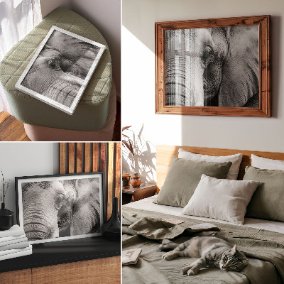 Umjetnički print Monokromatski detalji slona minimalizam elegancija