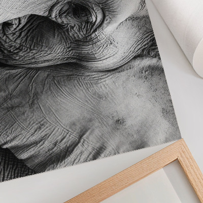 Umjetnički print Monokromatski detalji slona minimalizam elegancija