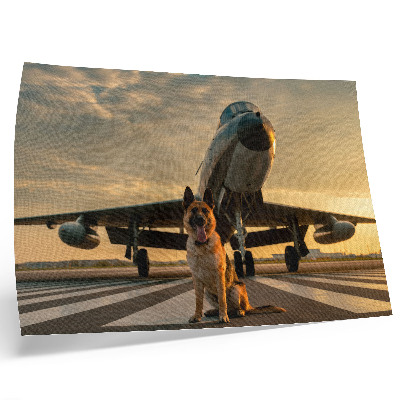 Plakat Pas i avion u zalasku sunca - jedinstven prizor