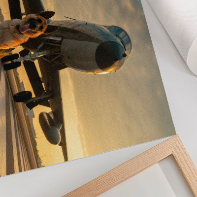 Plakat Pas i avion u zalasku sunca - jedinstven prizor