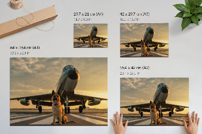 Plakat Pas i avion u zalasku sunca - jedinstven prizor