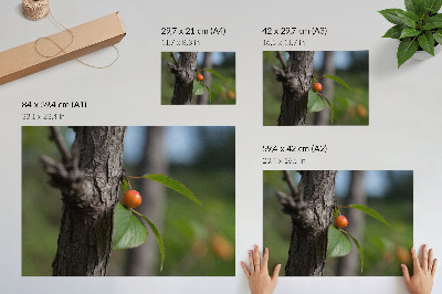 Plakat Narančasto voće zeleno lišće smeđa kora