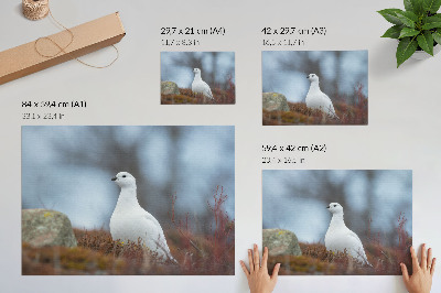Plakat Bijela ptica u zimskom okruženju